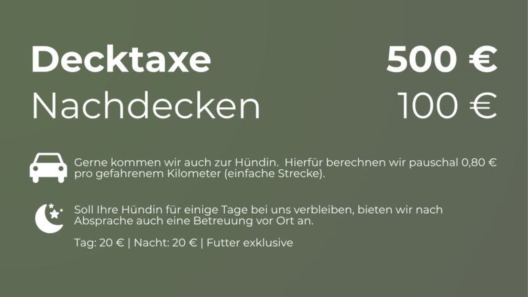 Decktaxe eines Labrador Retriever Deckrüden