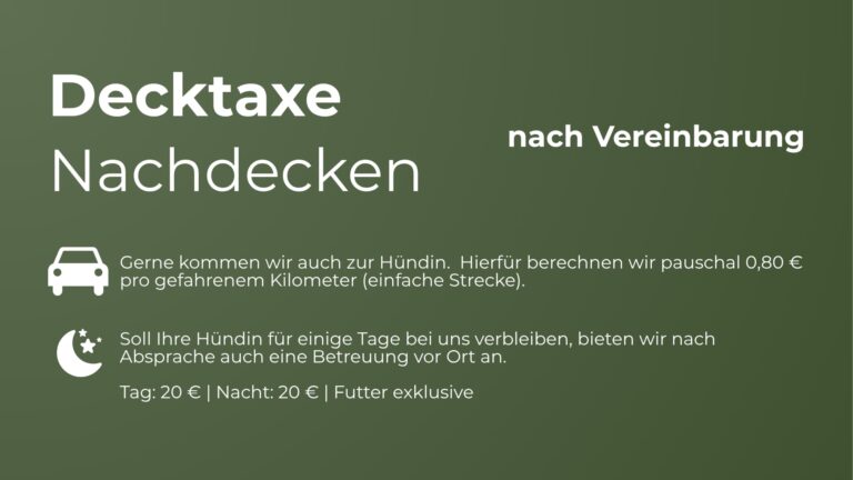 Decktaxe eines Labrador Retriever Deckrüden